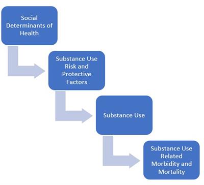 A comparison of the substance use related risk and protective factor profiles for American Indian and White American youth: a mixed studies review